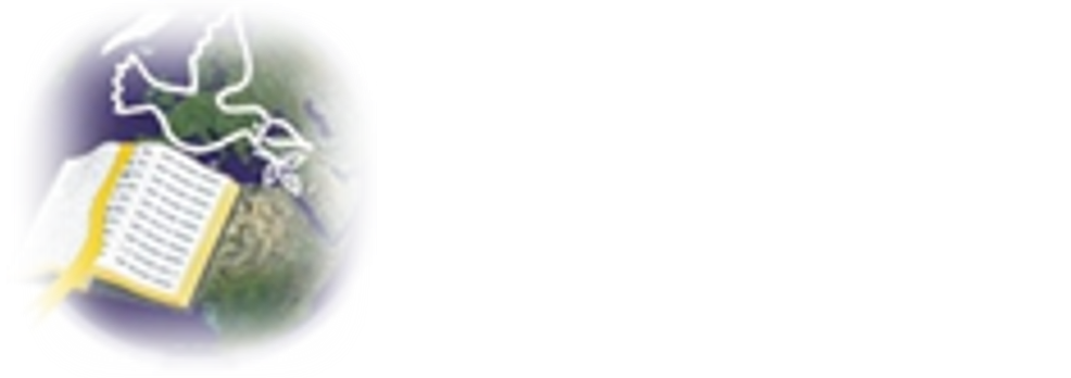 Vincent International Minisitries